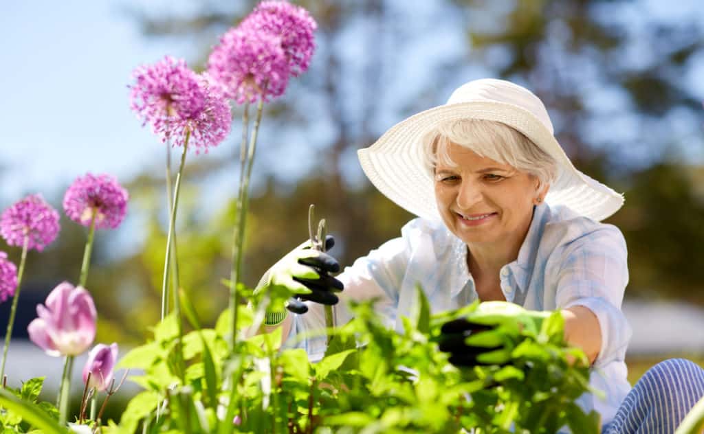 Gartenarbeit – wertvoll für die Gesundheit