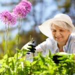 Gartenarbeit – wertvoll für die Gesundheit