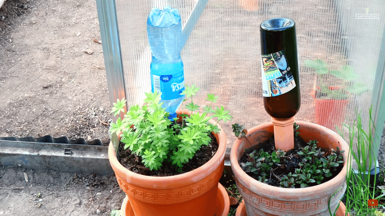 Tonkegel zur Bewässerung im Test » Gartenzeile.de