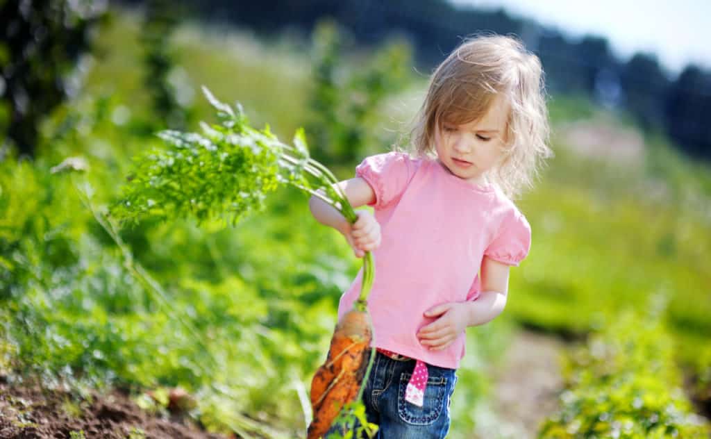 Dein Garten als Kinderparadies: Diese Details sind unverzichtbar