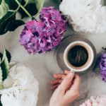 Hortensien mit Kaffeesatz düngen