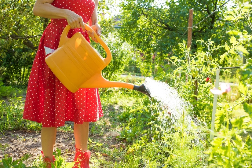 eine Frau gießt mit Regenwasser