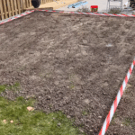 Rasensamen Test