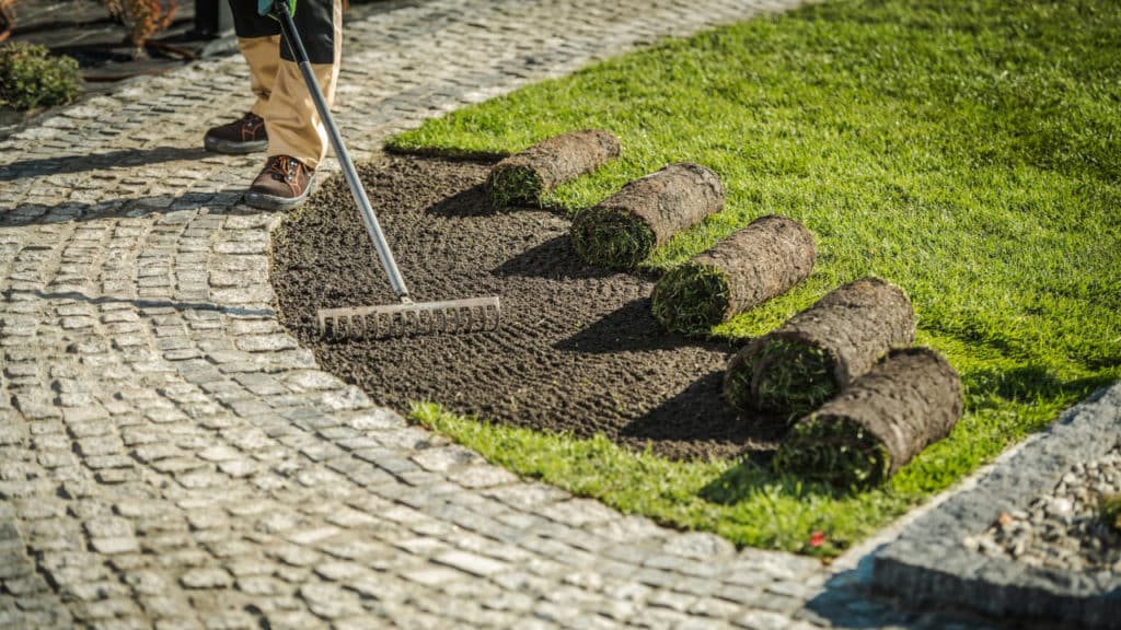 So findest du die richtige Gartenbaufirma