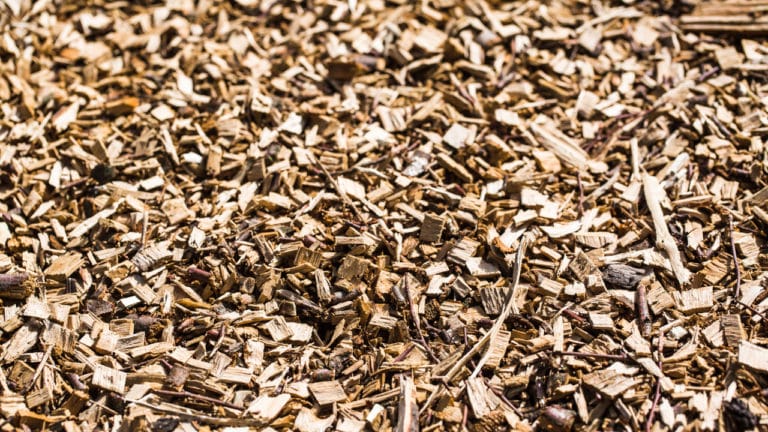 Rindenmulch als Alternative zu synthetischem Mulch