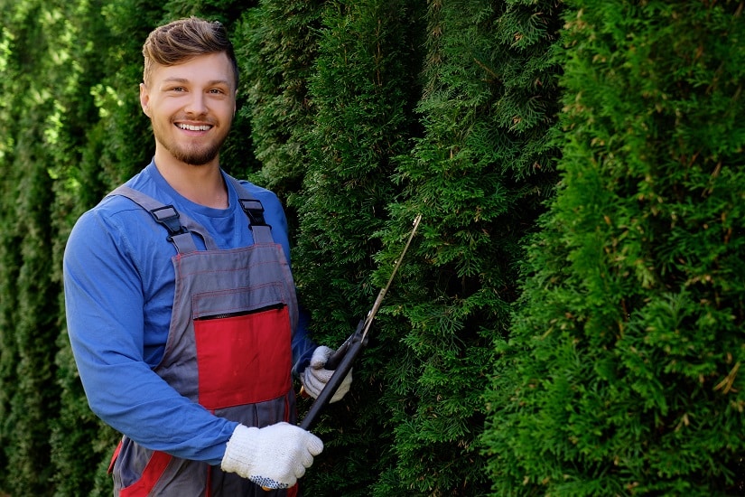 junger Mann schneidet seine schöne, gesunde Hecke