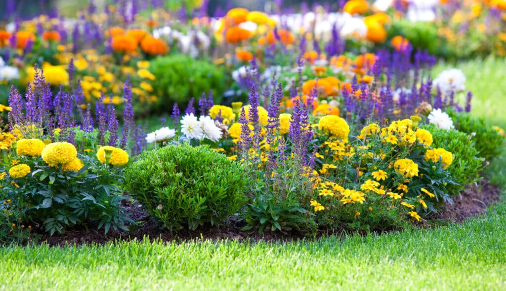 Moderne Gartengestaltung: Diese Tipps sorgen für ein ansprechendes Erscheinungsbild