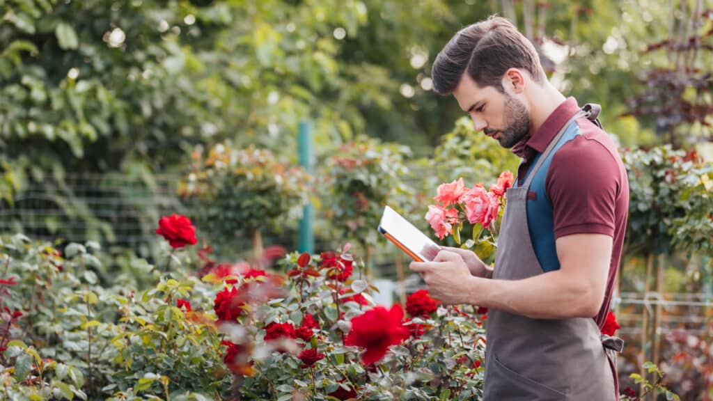 Grün und Digital: Wie Technologie den Gartenbau verändert