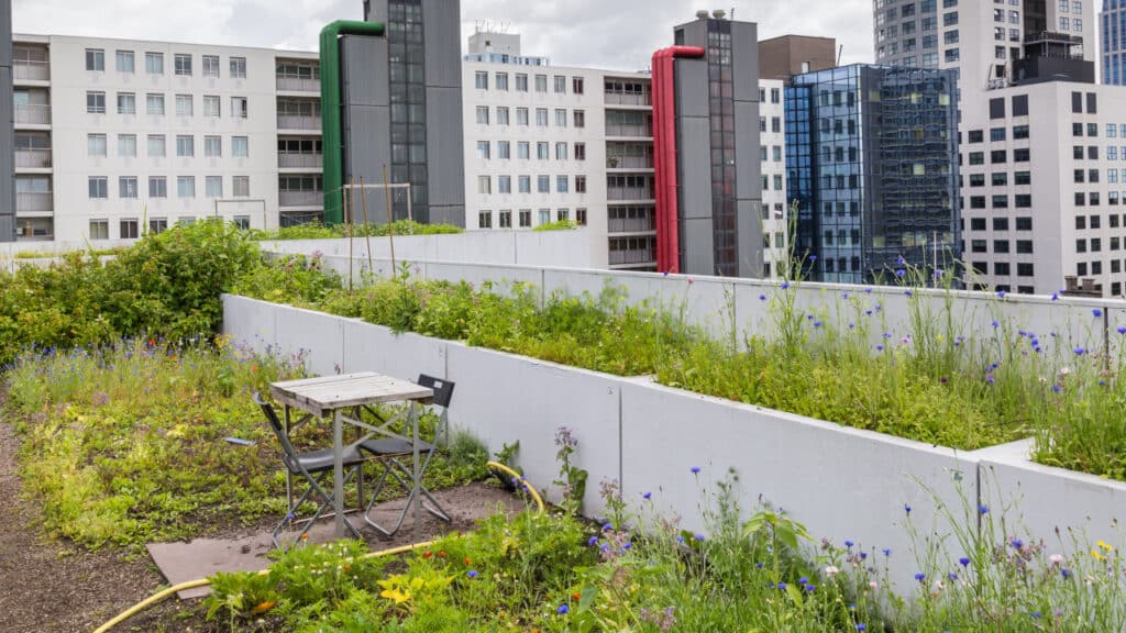 Urban Gardening auf dem Dach: Das solltest du beachten