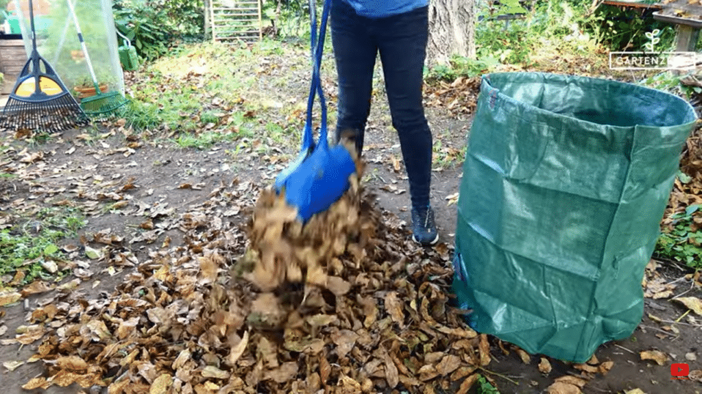 So kannst du deinen Garten nachhaltig auf den Winter vorbereiten