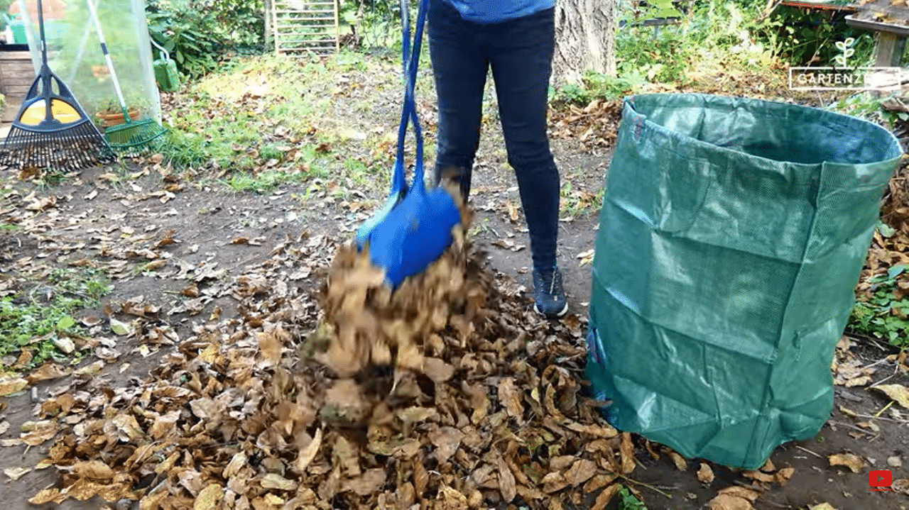 So kannst du deinen Garten nachhaltig auf den Winter vorbereiten