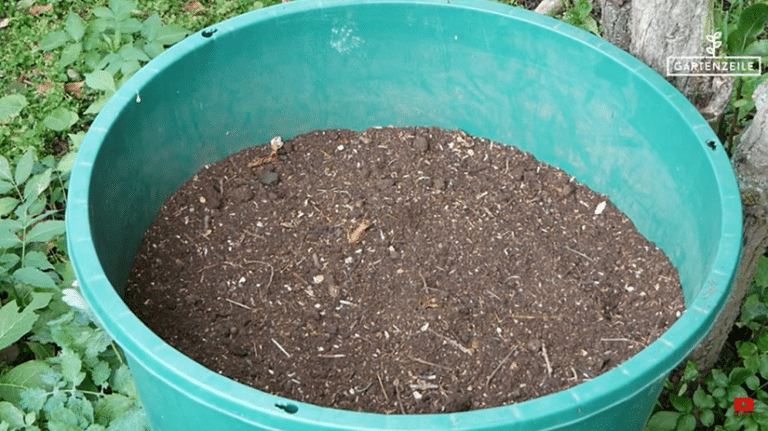 Das kannst du im Oktober ins Hochbeet säen » Gartenzeile.de