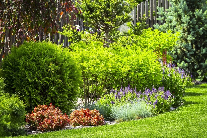 Ein Garten mit vielen verschiedenen schönen Pflanzen.
