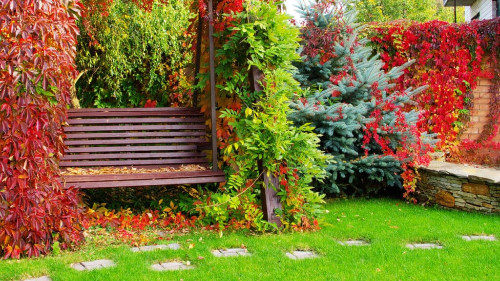 So schaffst du einen Garten, der rund ums Jahr schön aussieht