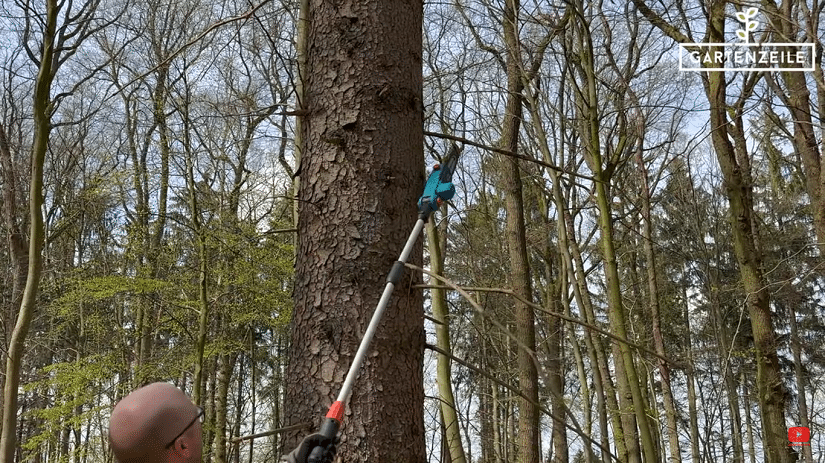 Komfortables Arbeiten mit dem Gardena Akku-Teleskop-Hochentaster TCS 20/18V 